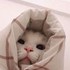 elyyshaa_2