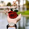 user5705305937800