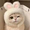 Funnycat111