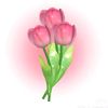 user4256179196184