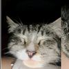 miwaaaa544