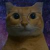 Felino Emocional
