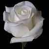 rose.belo3
