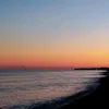 wizeer_0101