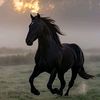 abbas.ff753