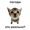 snow_jackie0