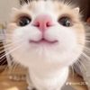 oyuk.gdy