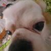 https.louisse.www.c0m