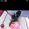 ahmedsalama4993