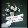 user85181123827673