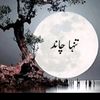 237chand