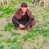 lalgulbkhan