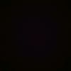 inat_4658