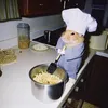 aprendizdoratatouille