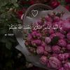 user573031856