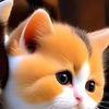 user686220919