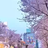 _6938444