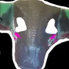 khim_khim2402