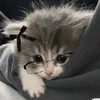 vika_starting
