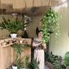 kim.trang24