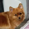 nicachu61