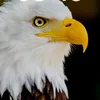 mrbilly0