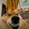 kwonheseo_01