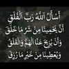 user8800249322831