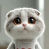 Cute Love