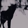 erson_kr3
