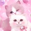 ruoya_a