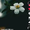 user89056124
