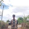 lu.nge33