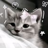 zainab.altacc