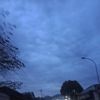 labann_14