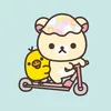 珍こここ