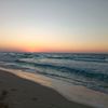rodinamohamed4252