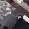 nour.el.houda2664