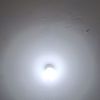 luegi7