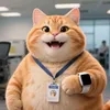 orange cat