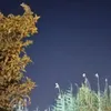 faiiiiiiiiiiiiiiiiiiiii5