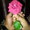 .israt242