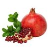 pomegranate.seal