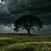sanakarzan10