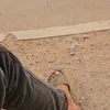 adam.adam4886