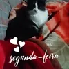 letcia.ferreira3360