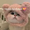 user4019783881952