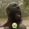 nguoidalanhdabimatacc