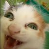 hostguy5