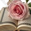 qu_ran018